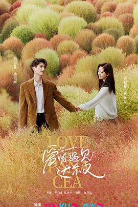 悍妻理论